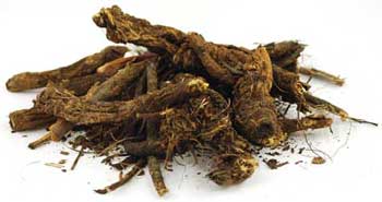 Golden Seal Root cut 2oz (Hydrastis canadensis)